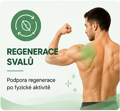 regenerace-svalu